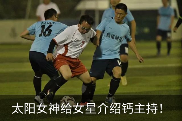 太阳女神给女星介绍钙主持！