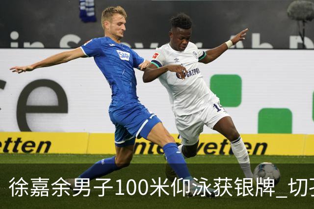 徐嘉余男子100米仰泳获银牌 切孔夺金